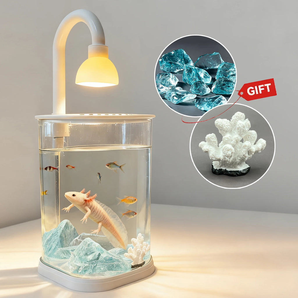 Starter Kit Small Fish Tank Axolotl Tank Tabletop Turtle Tank Goldfish Tank With Light Party Chirstmas Gift Idea For Kids