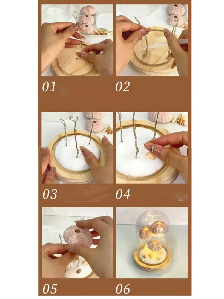 Creative Sea Urchin Shell Jellyfish Parent Child Activity Handmade DIY Night Light Decoration Atmosphere Small Ornament